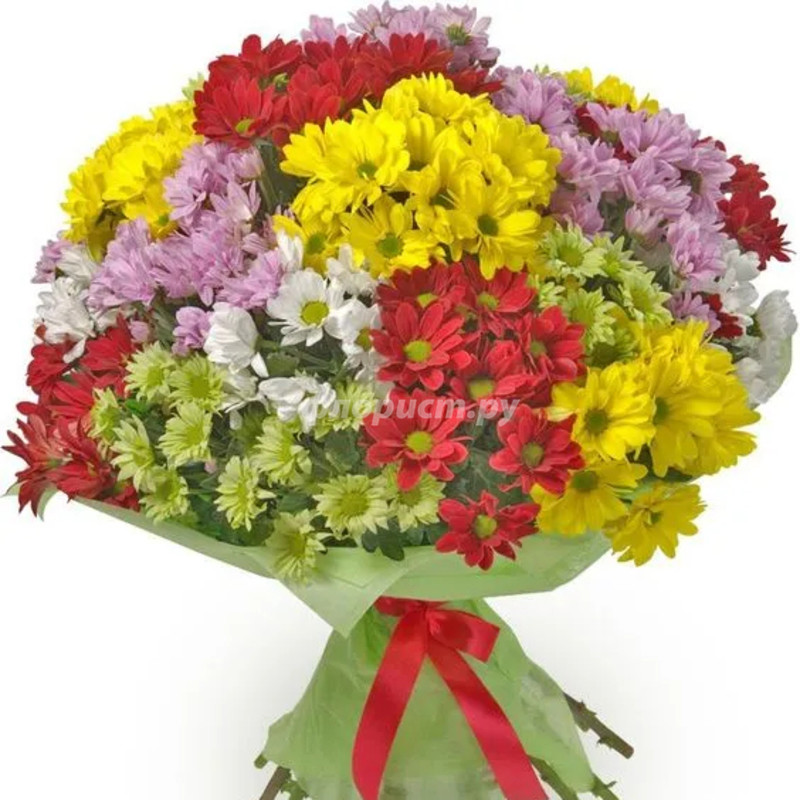 Bouquet of 13 Chrysanthemums, standard