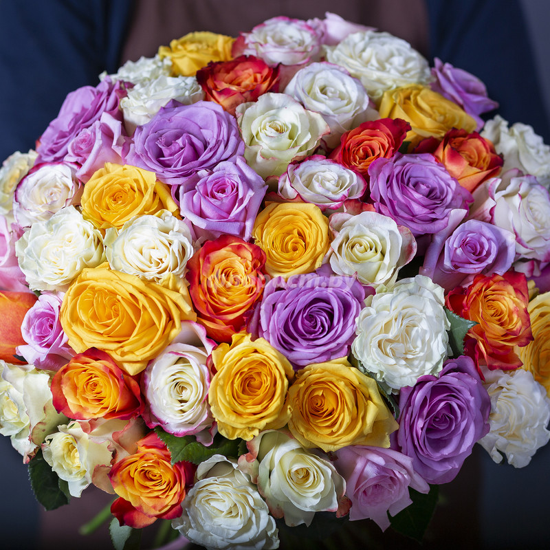 51 Ecuadorian Rose Mix cm, 51 stems