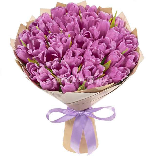 Фиолетовые Тюльпаны, стандартный