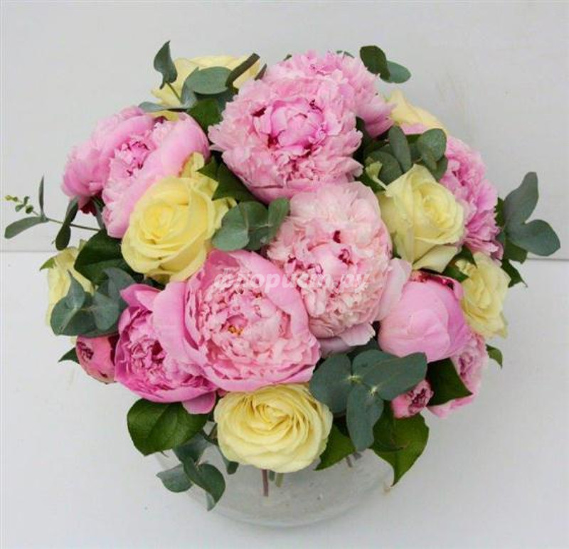 Peony Posy, standard