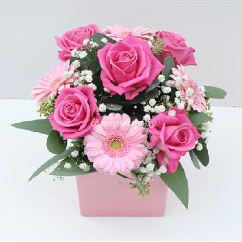 Pink Arrangement, standard