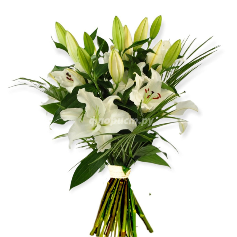 Eastern Bouquet, standard