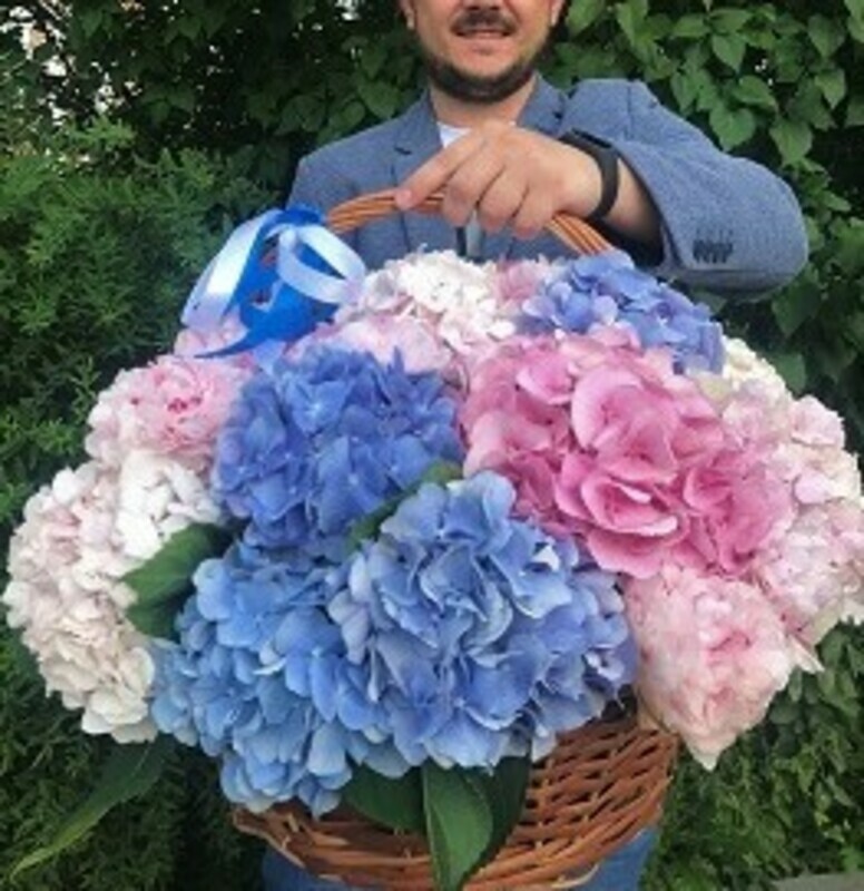 Корзина с гортензией Счастье, стандартный