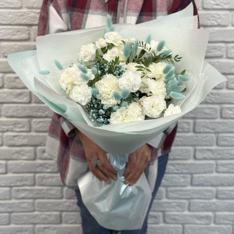 Bouquet of carnations and gypsophila, standart