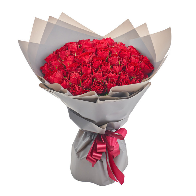 Bouquet of 51 red Kenyan roses in a package, standart