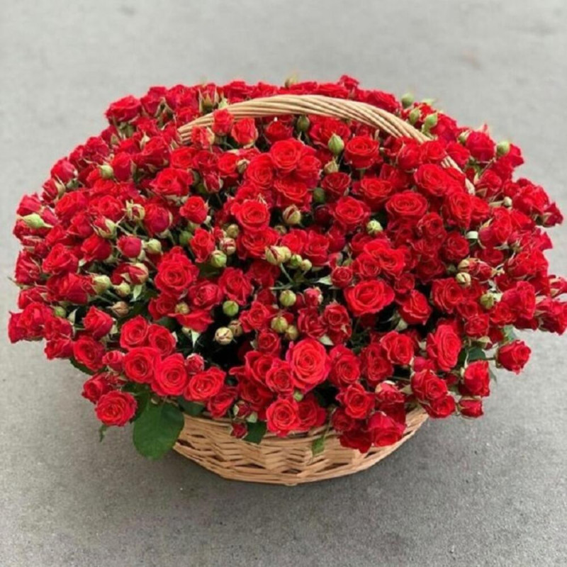 101 bush red roses in a basket, standart