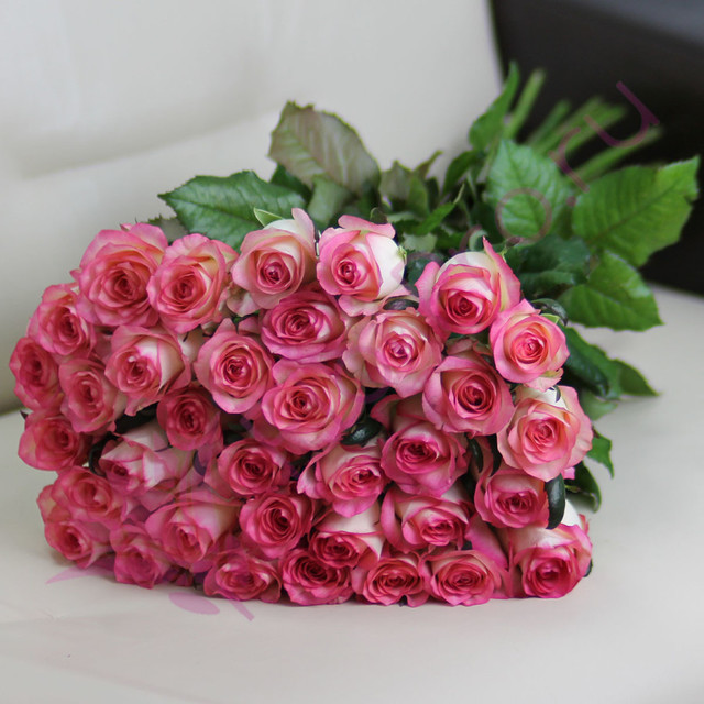 35 розовых роз Джумилия 60 см, стандартный