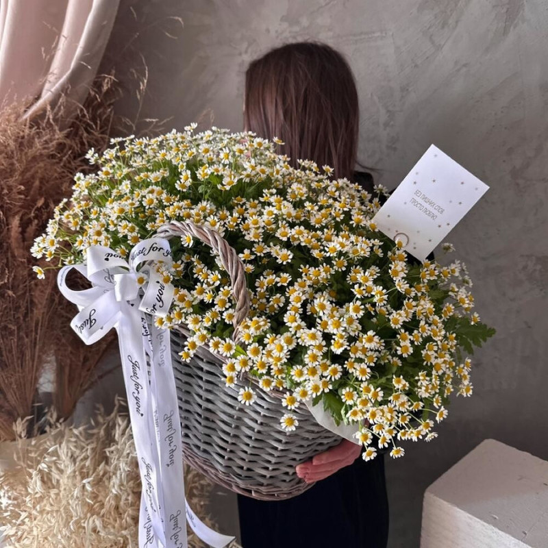 Large basket with field daisies, standart