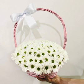 Daisies in a basket
