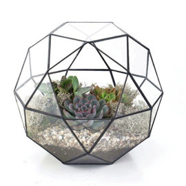 Флорариум шар геометрический