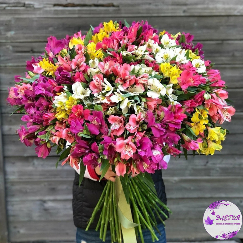 Bouquet of 51 multi-colored alstroemerias, standart