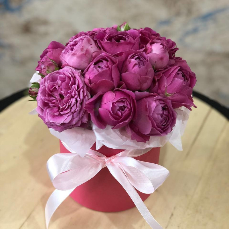 COMPLIMENT FROM SHRUSH PEONY ROSES, standart