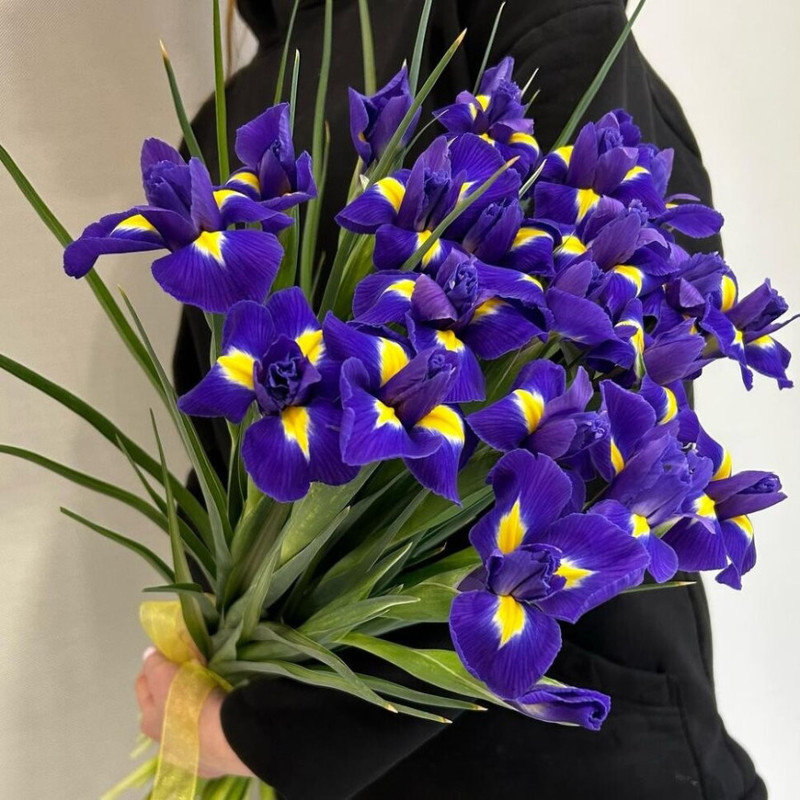 Bouquet of 25 irises in a ribbon, standart