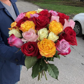 Bouquet of 25 roses mix 50 cm