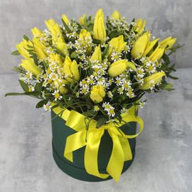 Коробка с 25 желтыми тюльпанами и ромашкой