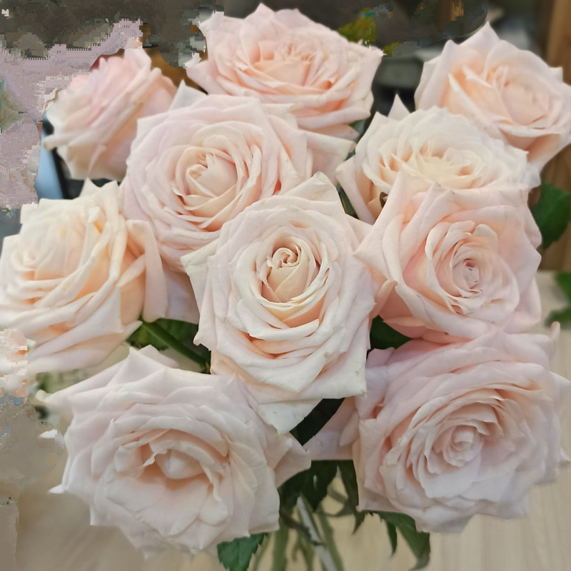 Bouquet of local roses "Kimberly", standart