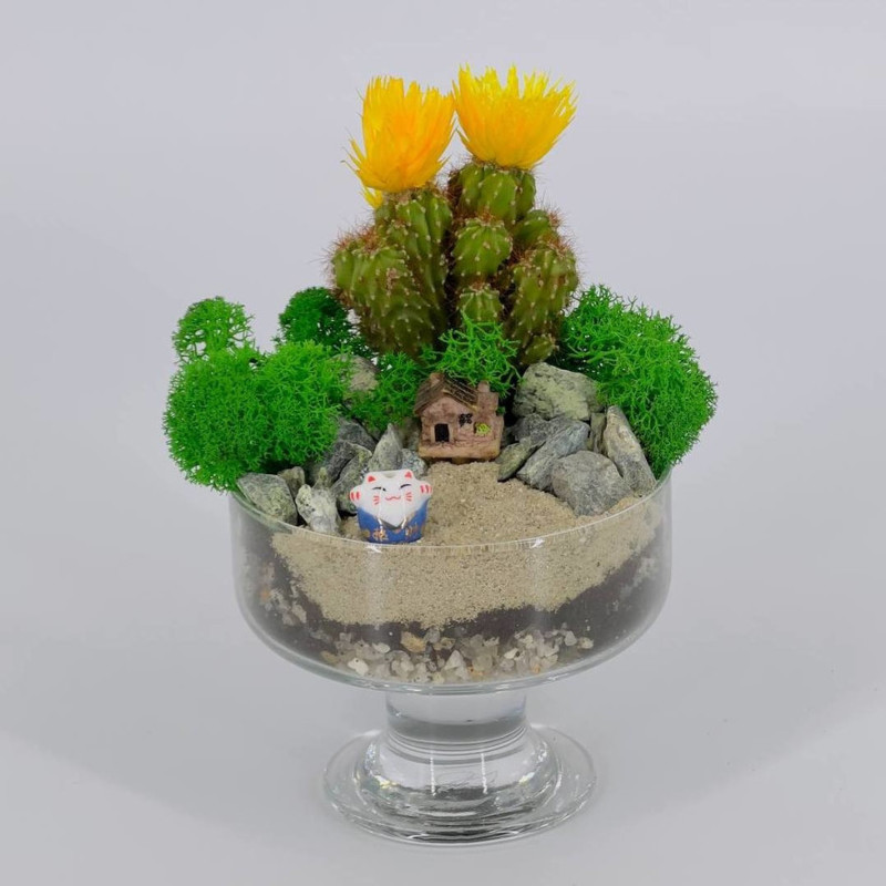 Мини флорариум моссариум с кактусом и фигуркой Манеки Неко, стандартный