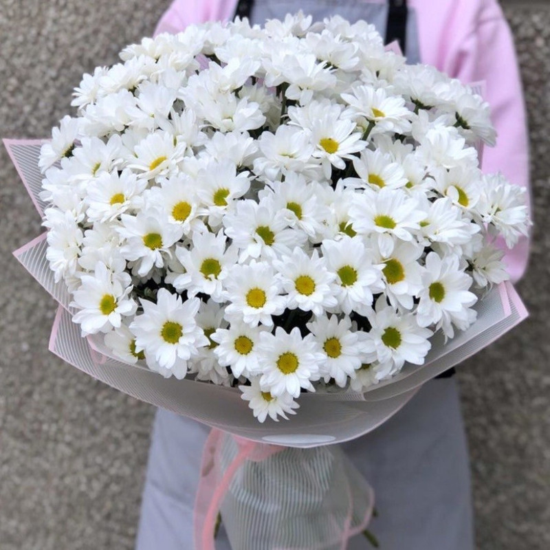From daisies, standart