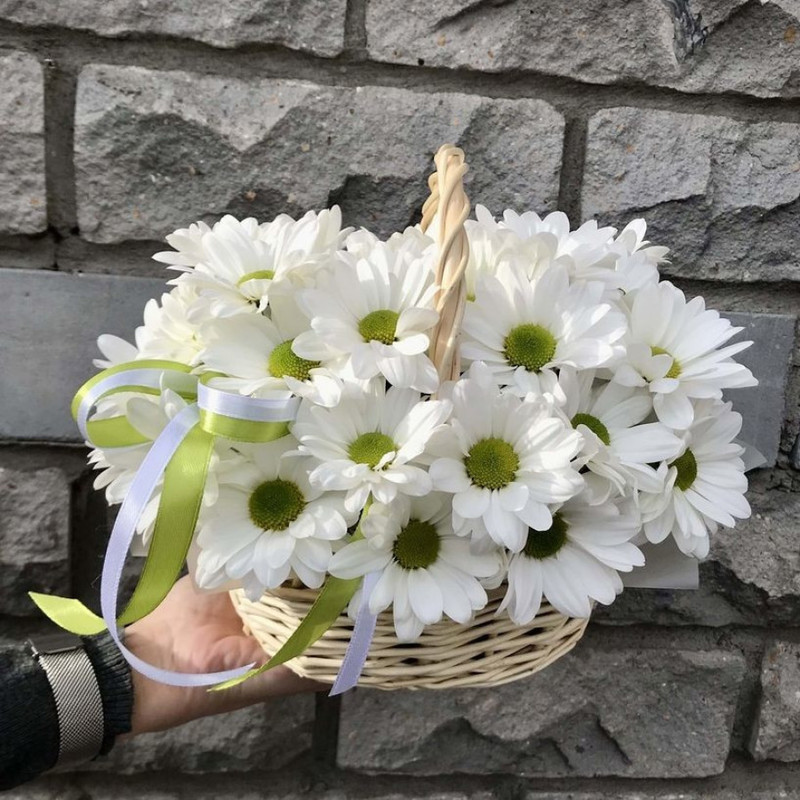Basket with daisies, standart