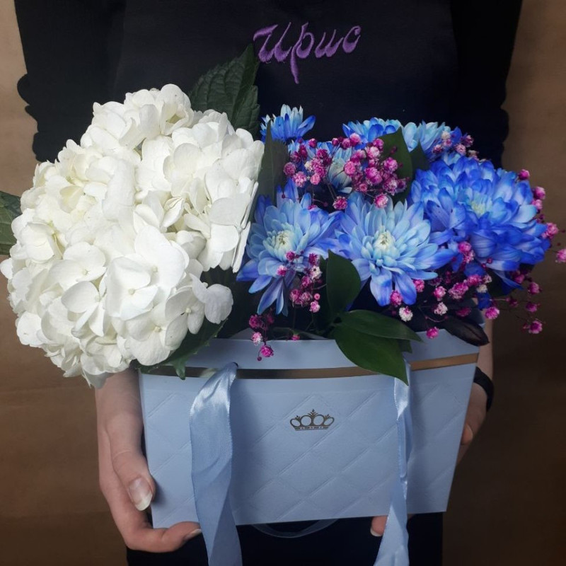 Hydrangea with chrysanthemum in a bag, standart