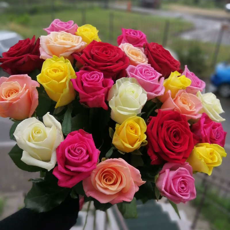 Bouquet of 25 roses mix, standart