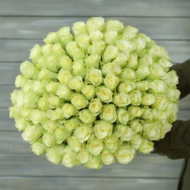 101 белая роза с лентой (40 см)
