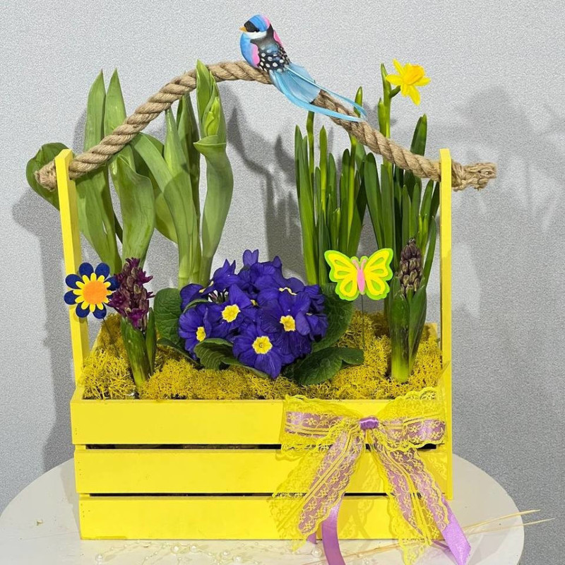 Spring composition in a box with primroses, standart