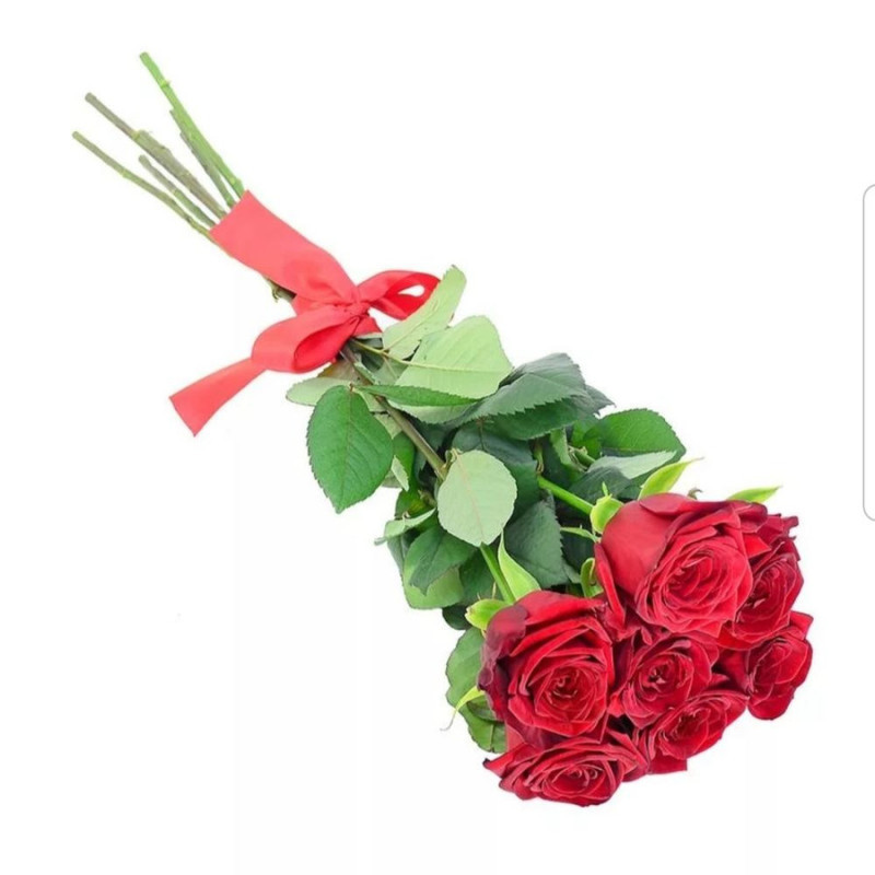 7 red roses on a ribbon, standart