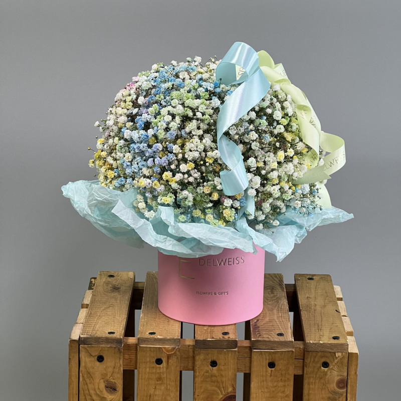 Gypsophila in a box: I have never seen such beautiful, standart