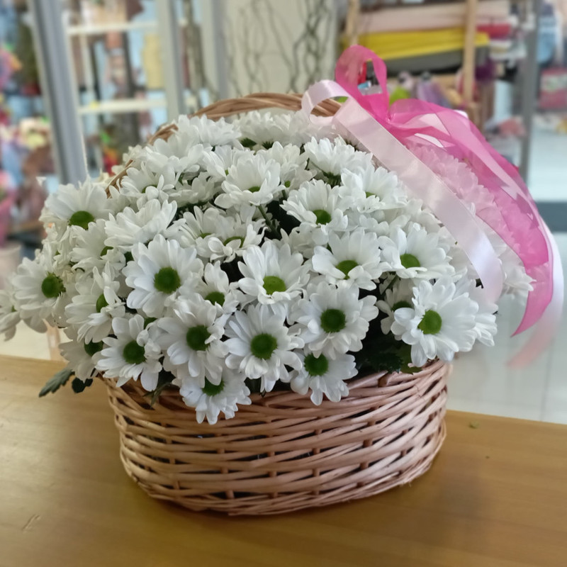 Basket of white spray chrysanthemum, standart