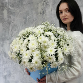 Composition of white chrysanthemum with gypsophila
