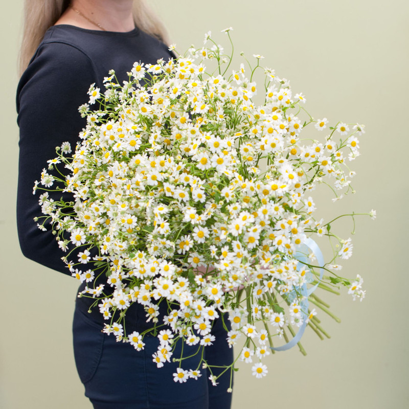 Bouquet of flowers "Romashkino", standart