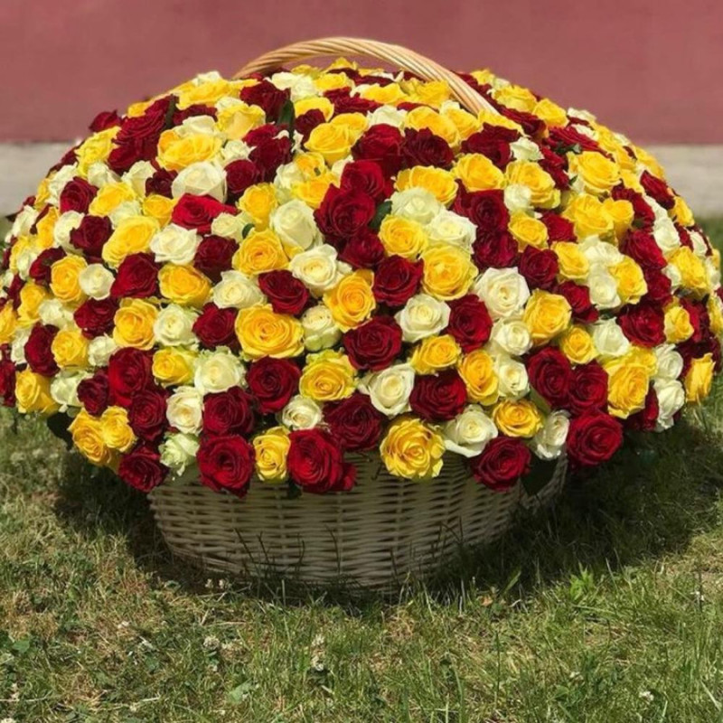 Basket of 501 roses, standart