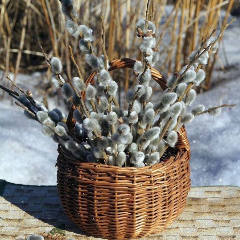 Willow flower basket, standart