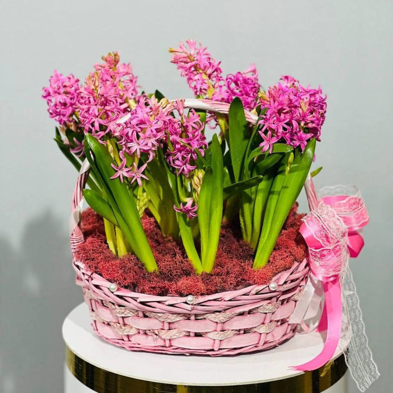 Basket with pink hyacinths, standart