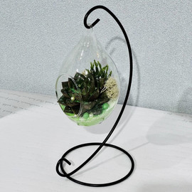 Mini florarium on suspension
