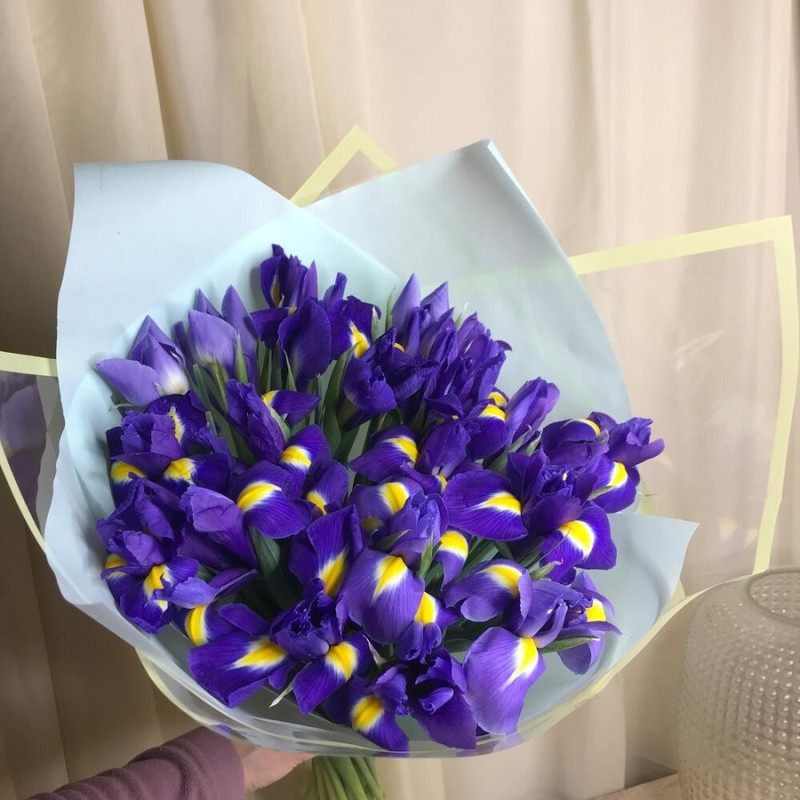 Magic irises., standart