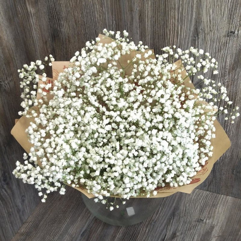 Bouquet of 5 white gypsophila in craft 50 cm, standart