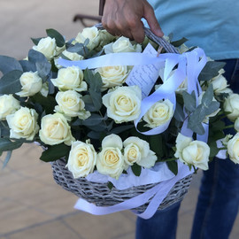 Single basket of white roses 51 pieces