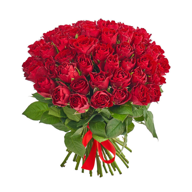 Bouquet of 51 red Kenyan roses, standart