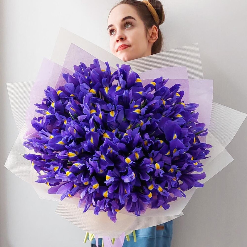 Large luxurious bouquet of 51 blue irises, standart