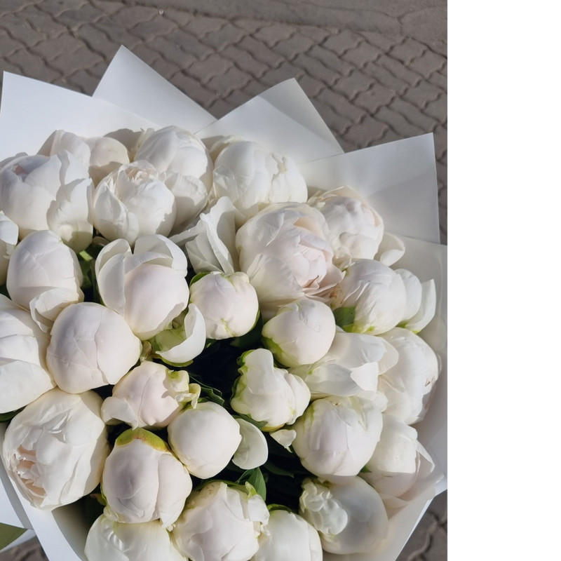 Bouquet of 29 white peonies, standart