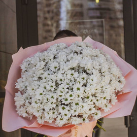 Bouquet giant of chamomile chrysanthemum