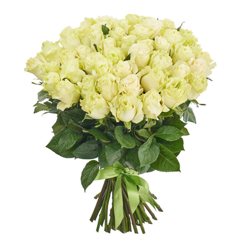 Bouquet of 51 white Ecuadorian roses, standart