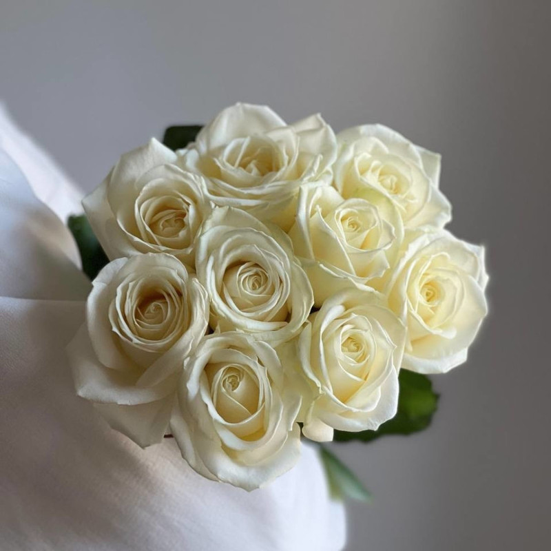 White roses, standart