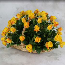 51 yellow roses 40 cm in a basket