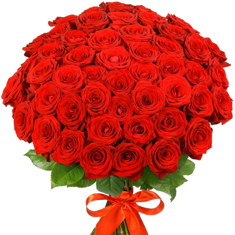 51 red rose "Red Naomi", standart