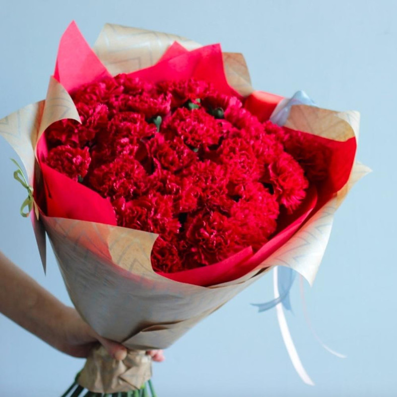 23 burgundy red carnations, standart