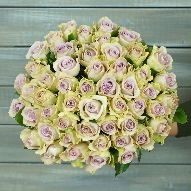 51 зелено-фиолетовая роза (40 см), стандартный