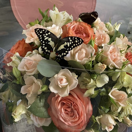 bouquet with live butterflies